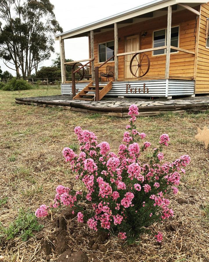 Bukirk Glamping & Fancy Coops Hotel Clare Exterior photo